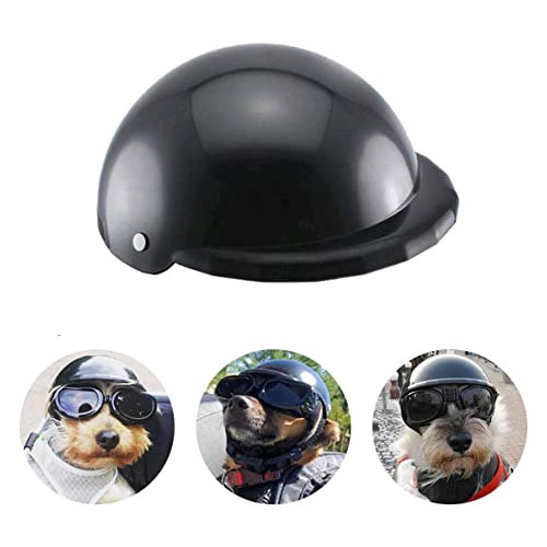 Casco Per Cani