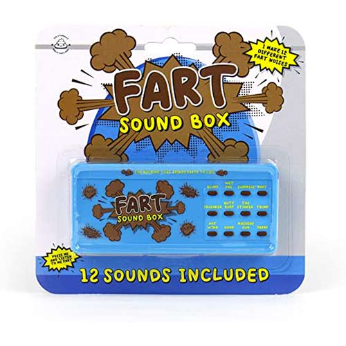 Fart Sound Box