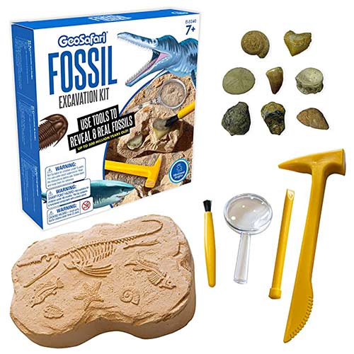 Kit Scava Fossili