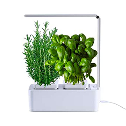 Smart Garden